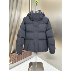 Zegna Down Jackets